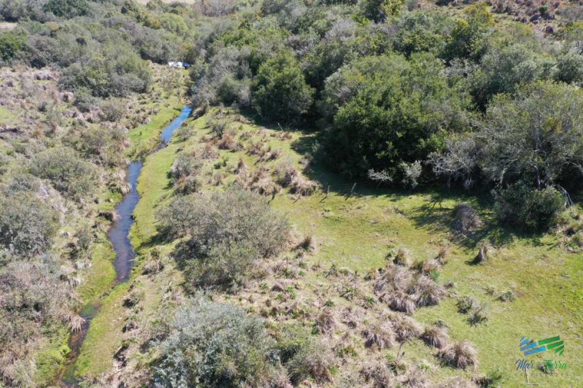 Chacra ID.4368 - Preciosas Chacra con Olivos en Finca Babieca, Vistas Sierras, arroyo, Pueblo Eden