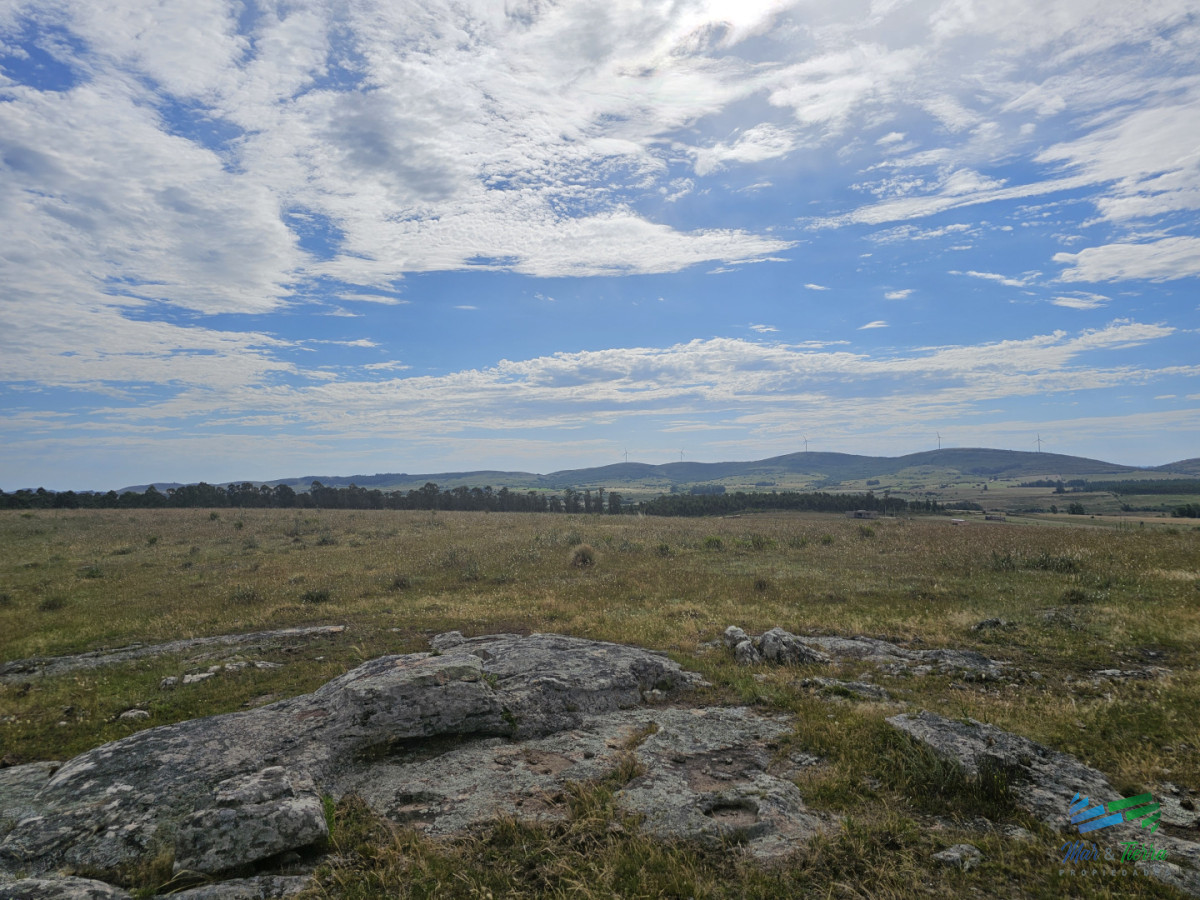 Chacra ID.5628 - En venta chacra 3 hectareas, proxima ruta 39, a pocos km de San Carlos.
