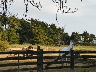 Tu refugio a 1 hora de Montevideo, Escápate a la tranquilidad del campo a 10 minutos el mar...