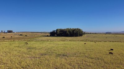 Vendo chacra Ruta 9, entre ruta 12 y Pan de Azucar, Maldonado. FINANCIO.
