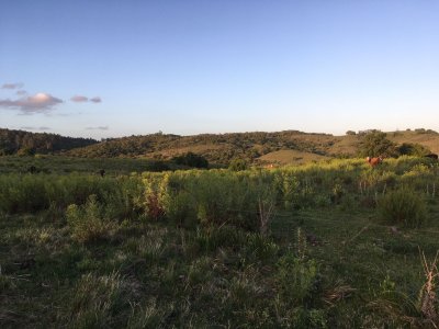 28 Has Garzón a solo 10 Kms del pueblo