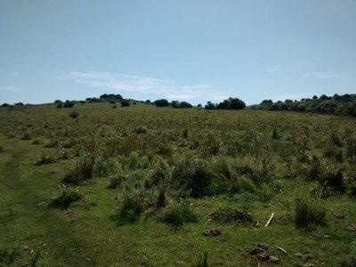 26 Has Garzón a 10 Kms del Pueblo