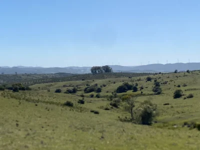 Chacras con vistas Únicas, Olivos, Sierras y descanso... !! Atención Precio Rebajado !!