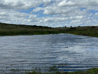 En venta chacra 20 hectareas con Olivos en Ruta 9 cerca de Pan de Azúcar.