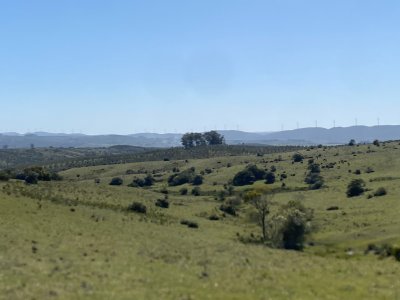 Chacras con vistas Únicas, Olivos, Sierras y descanso... !! Atención Precio Rebajado !!