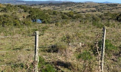 En venta, chacra con vistas panorámicas y monte nativo !!!