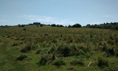 26 Has Garzón a 10 Kms del Pueblo