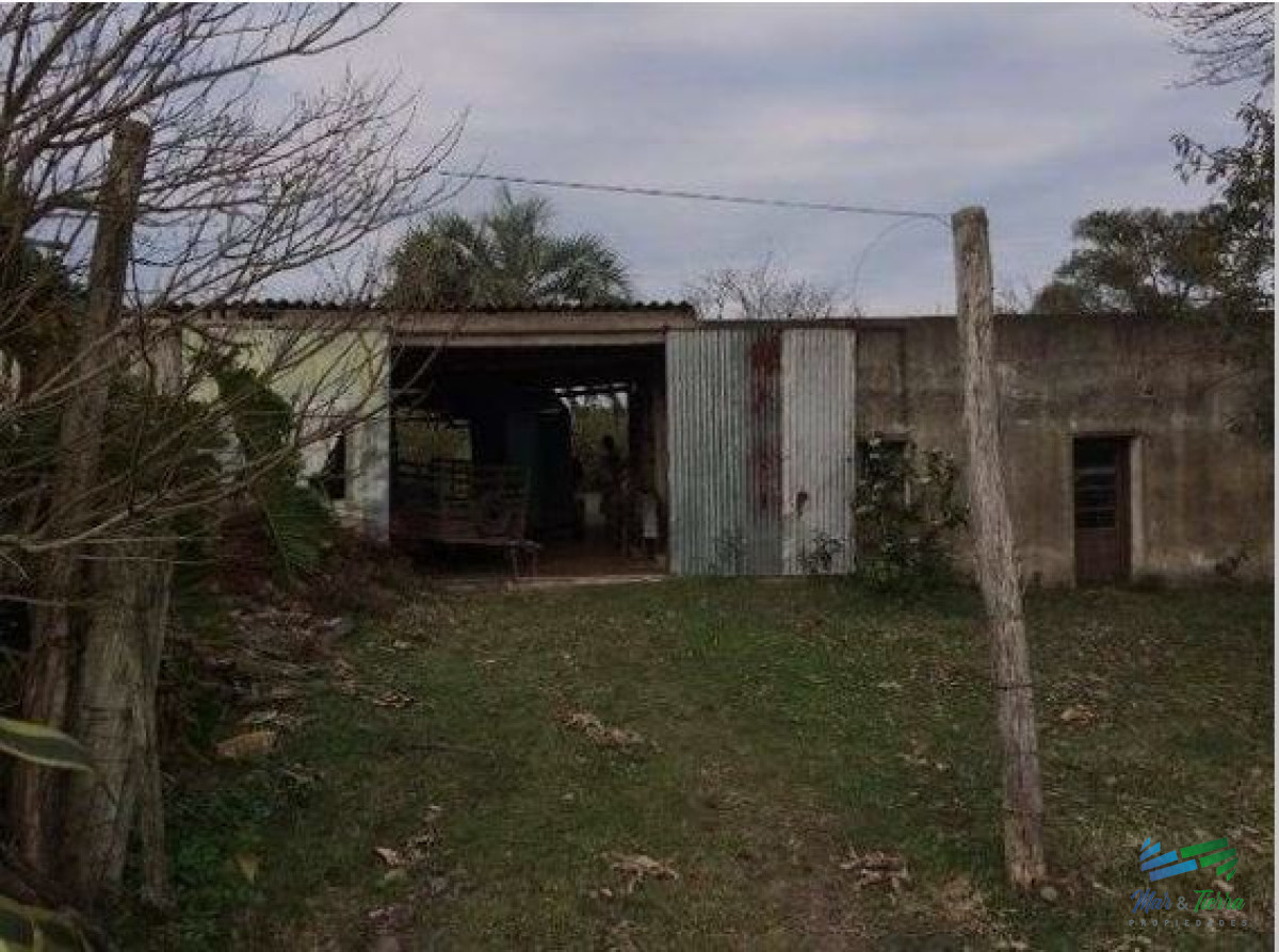 207 Has Campo Ganadero - GoPunta - Portal Inmobiliario de Punta del Este - Maldonado