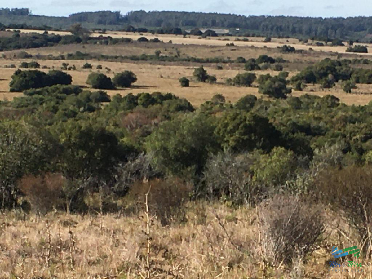 80 Has al Norte de Garzon, buen acceso, vistas, monte y luz en la portera