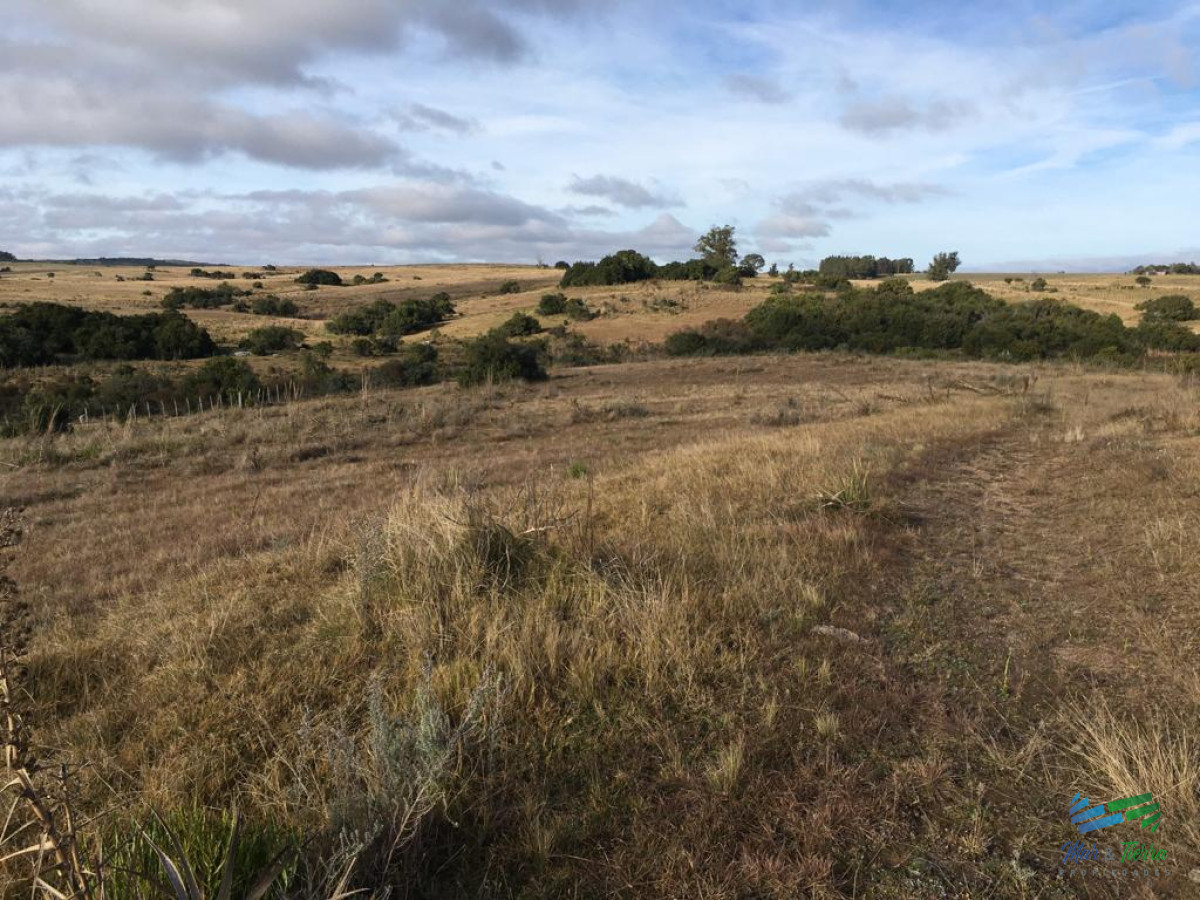 47 Has a 20 minutos Jose Ignacio y 3 kms de R.9