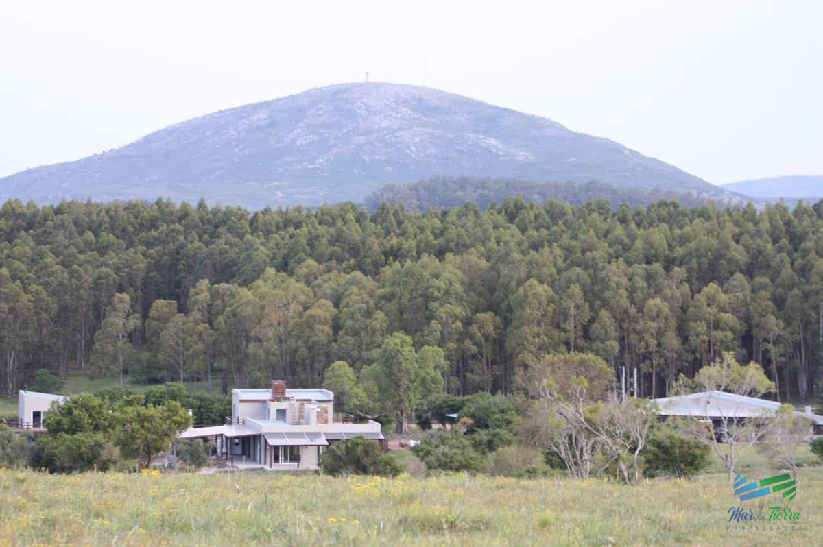 Espectacular Campo con todas las comodidades y mas, a 1 hora de Mdeo ! - GoPunta - Portal Inmobiliario de Punta del Este - Maldonado