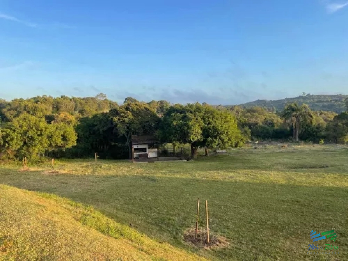 Campo Forestado 433 Has en Tupambae CL - GoPunta - Portal Inmobiliario de Punta del Este - Maldonado