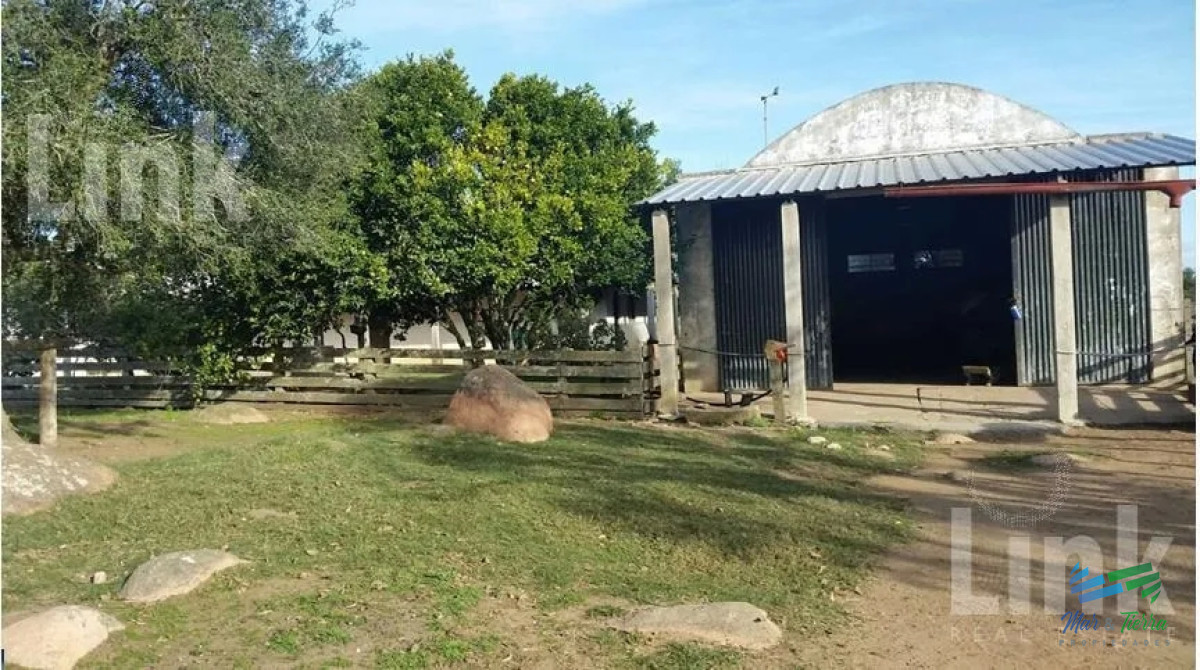 Precio Rebajado   Estancia 3.000 Has en 33 Ganadero Forestal - GoPunta - Portal Inmobiliario de Punta del Este - Maldonado