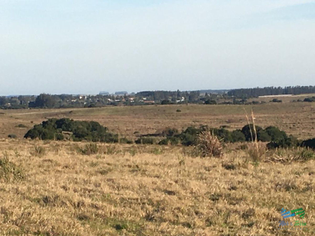 Garzón 260 Has buen campo ganadero, ideal para fraccionamiento - GoPunta - Portal Inmobiliario de Punta del Este - Maldonado