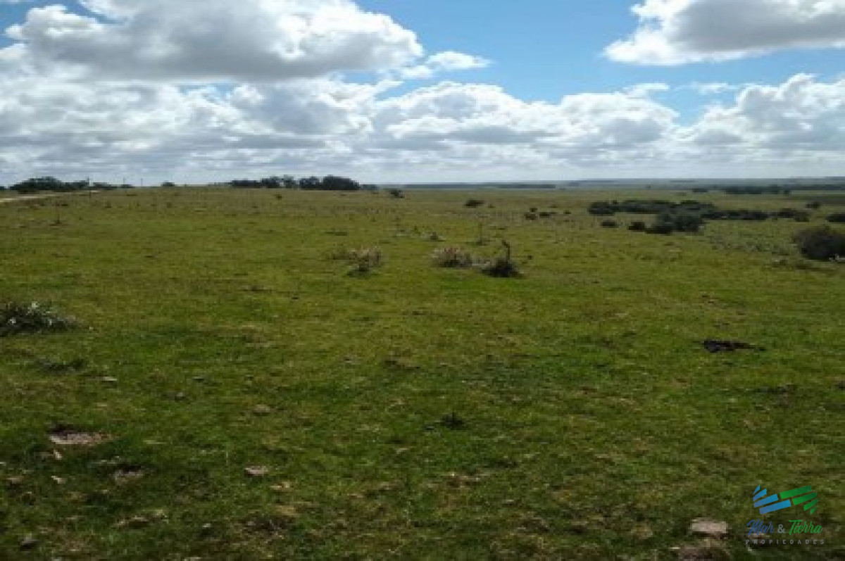 Buen campo ganadero 218 Has en Oratorio - GoPunta - Portal Inmobiliario de Punta del Este - Maldonado