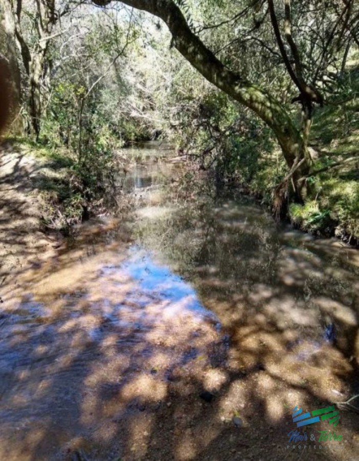 Buen campo ganadero 218 Has en Oratorio - GoPunta - Portal Inmobiliario de Punta del Este - Maldonado