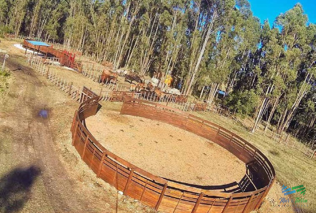 Espectacular Campo con todas las comodidades y mas, a 1 hora de Mdeo ! - GoPunta - Portal Inmobiliario de Punta del Este - Maldonado