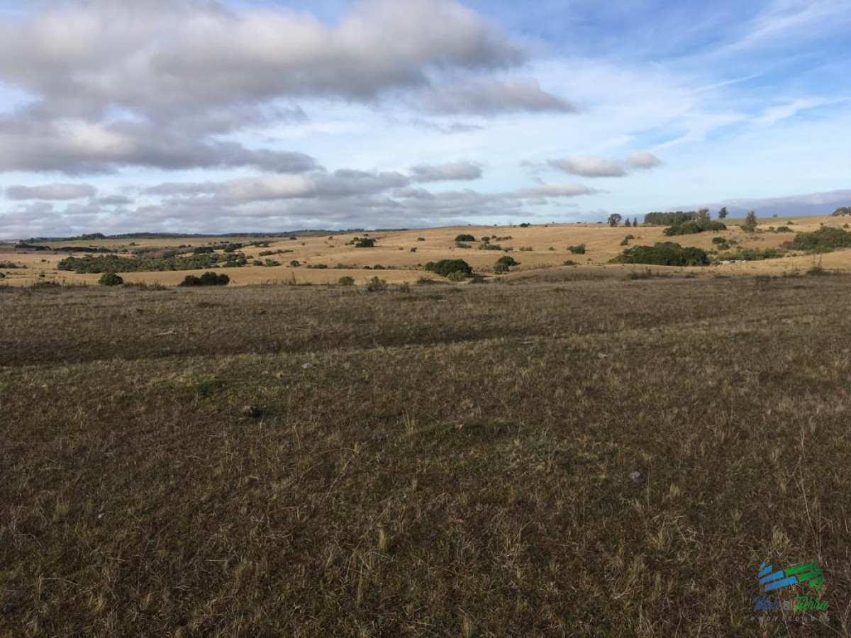 47 Has a 20 minutos Jose Ignacio y 3 kms de R.9 - GoPunta - Portal Inmobiliario de Punta del Este - Maldonado