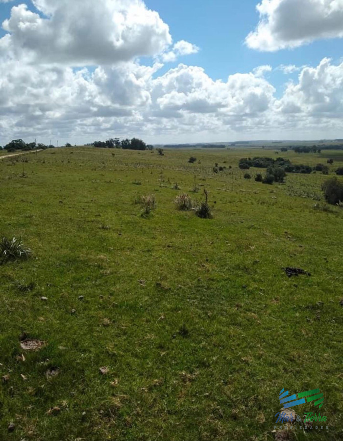 Linda Fraccion de Campo Agricola - Ganadero 177 Has Castillos