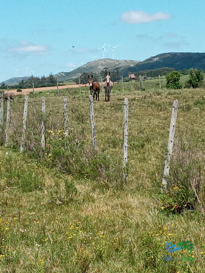 Lindo campo 63 has en las Sierras de Carape, muy buenas vistas