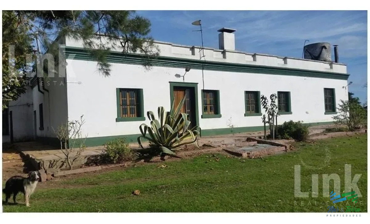 Precio Rebajado - Estancia 3.000 Has en 33 Ganadero-Forestal