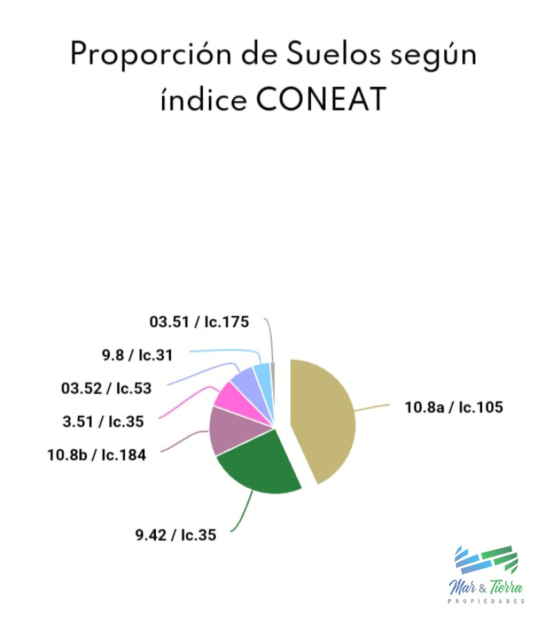Establecimiento completo, campo mixto muy bien ubicado ! - GoPunta - Portal Inmobiliario de Punta del Este - Maldonado
