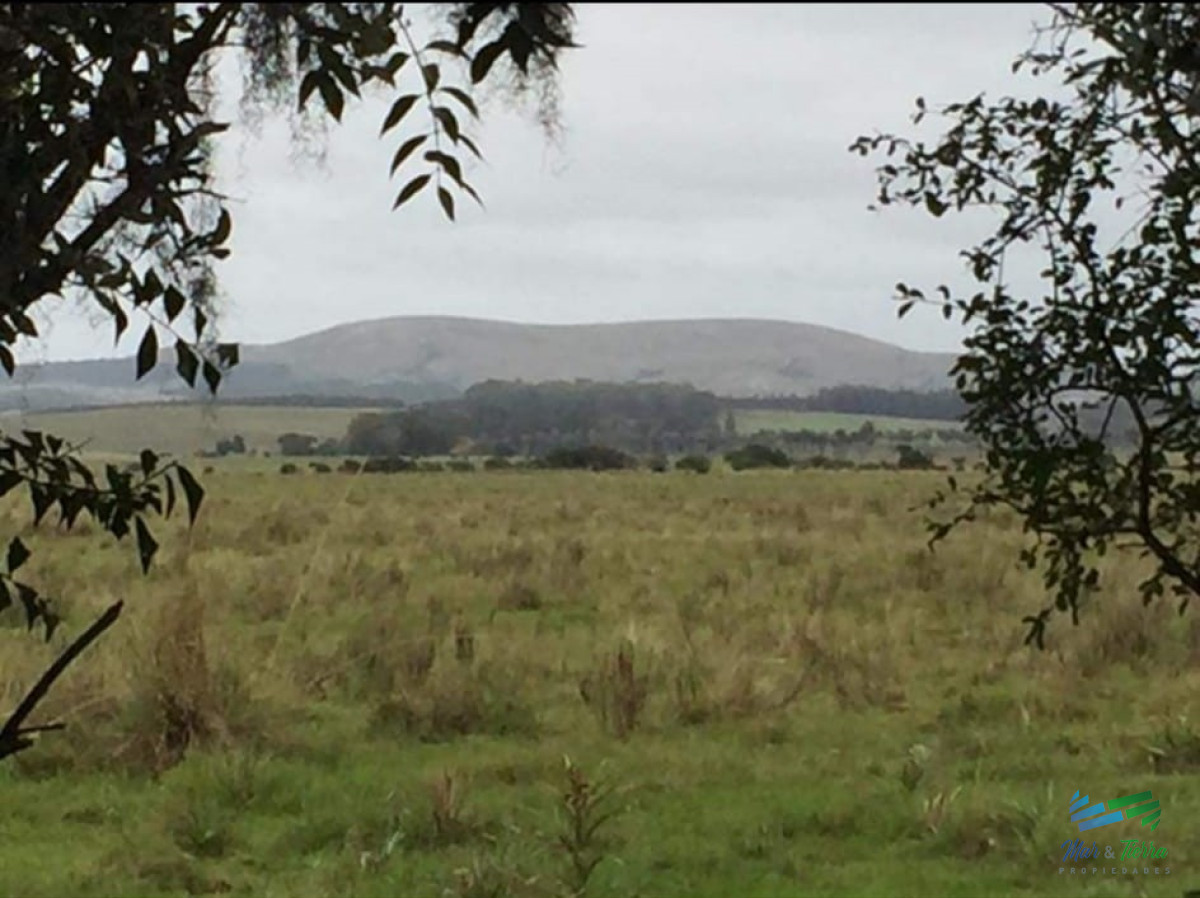 128 Has a 3 Kms de R.9 Lindo campito e invernada !