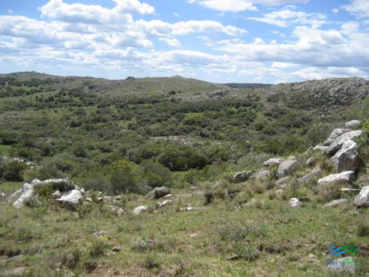 177 Has Campo de Sierras, Cañada, Monte Nativo