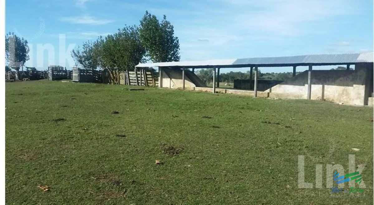 Precio Rebajado   Estancia 3.000 Has en 33 Ganadero Forestal - GoPunta - Portal Inmobiliario de Punta del Este - Maldonado