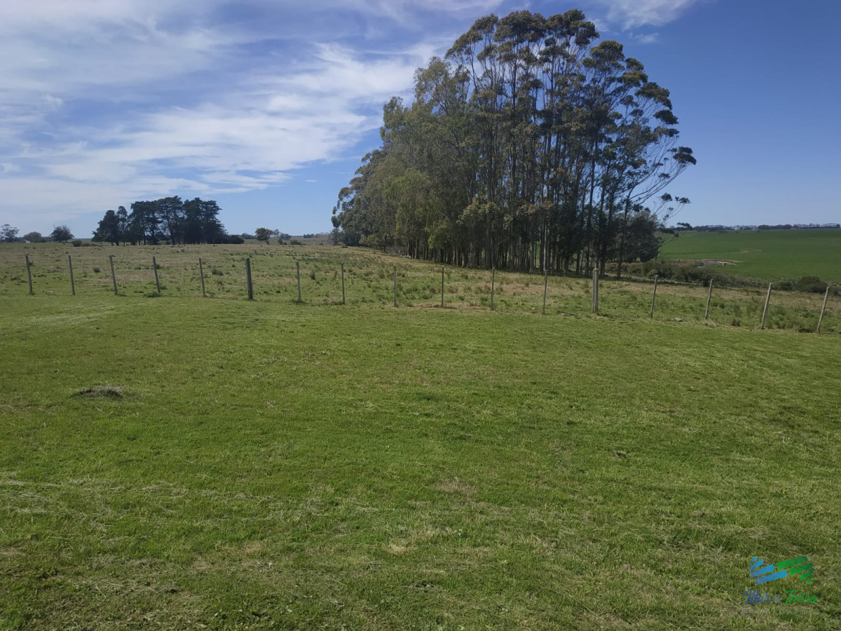 Muy linda fracción de 138 Has en Las Garzas - GoPunta - Portal Inmobiliario de Punta del Este - Maldonado