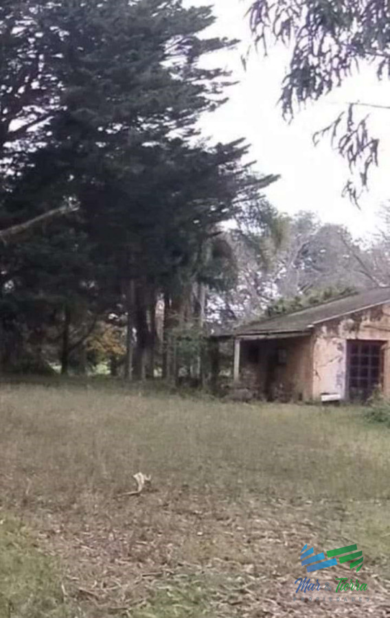 445 Has Campo Ganadero - GoPunta - Portal Inmobiliario de Punta del Este - Maldonado