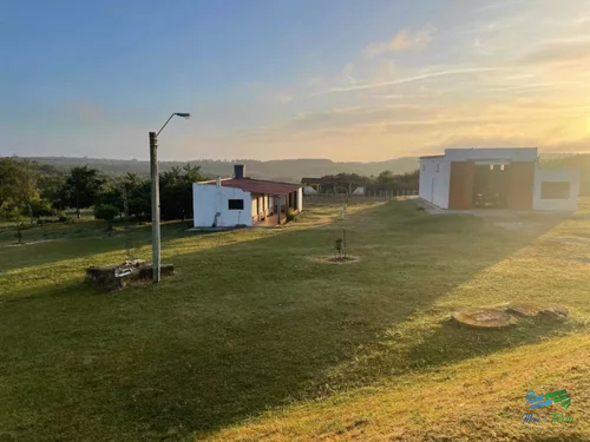Campo Forestado 433 Has en Tupambae CL - GoPunta - Portal Inmobiliario de Punta del Este - Maldonado