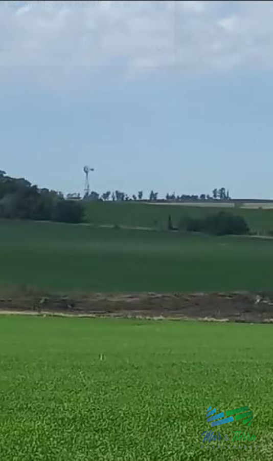 Excelente ubicación, Campo Mixto a poca distancia de Mercedes, todo hecho a  nuevo !
