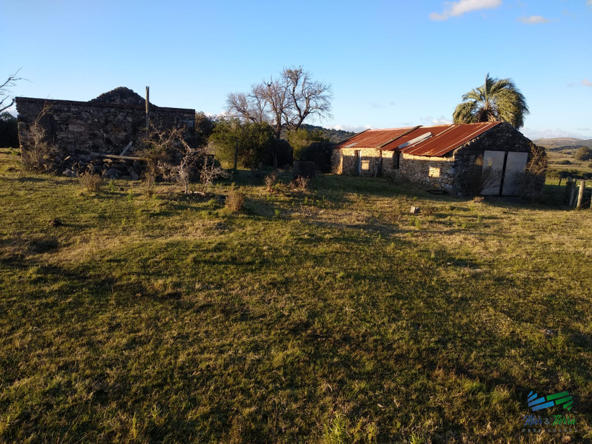 Campo Ref.3678 - 82 Has Cerca de Pueblo Edén y R.12
