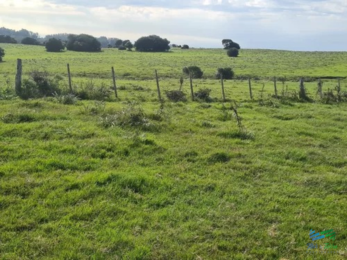 Campo Ref.5119 - Campo Agrícola - Ganadero, 422 Has sobre Ruta 15