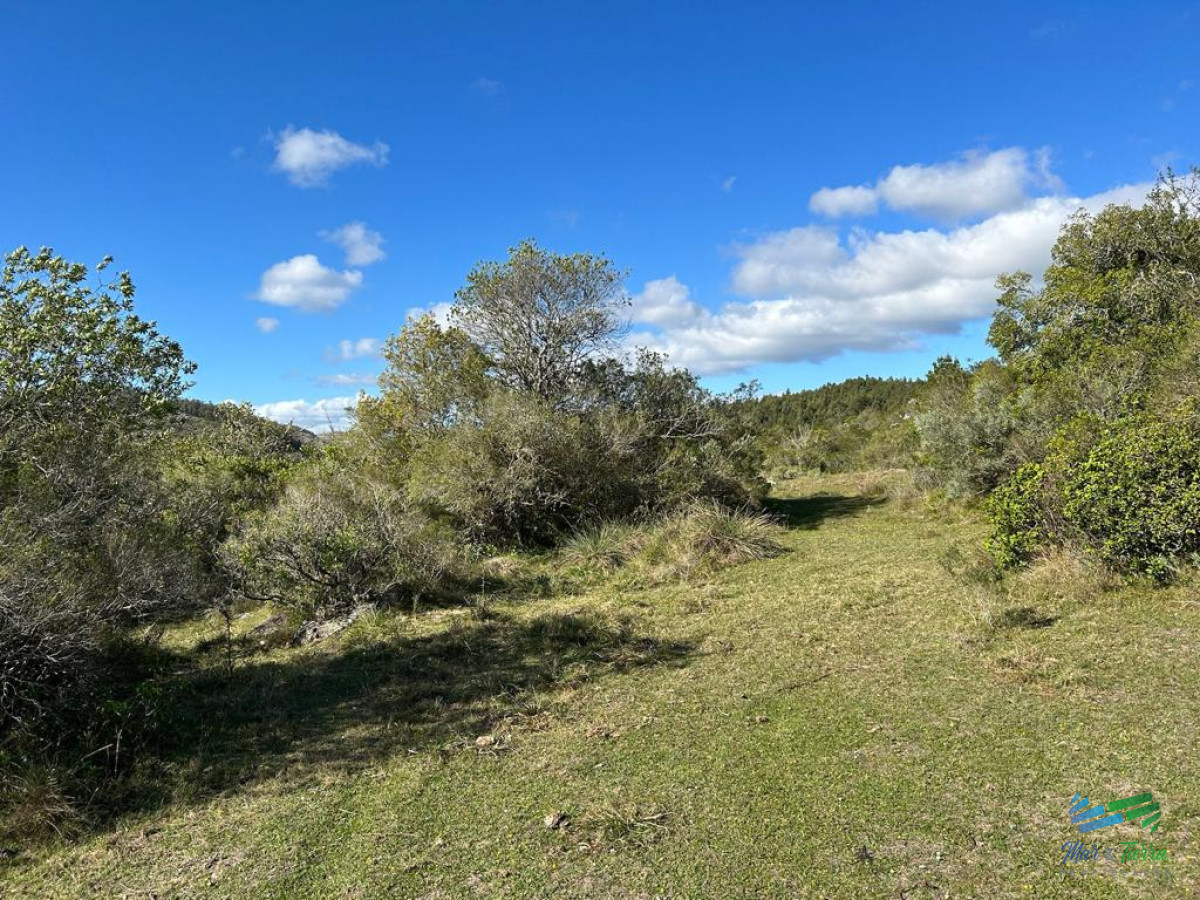 Campo Ref.4336 - Lindo campo para fraccionar, sobre ruta y a poco mas de 1 hora de Punta