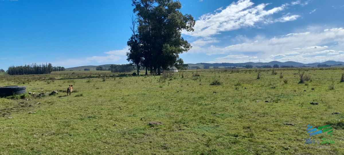 Campo Ref.4416 - Buen campo agrícola, muy bien ubicado. 83 Has