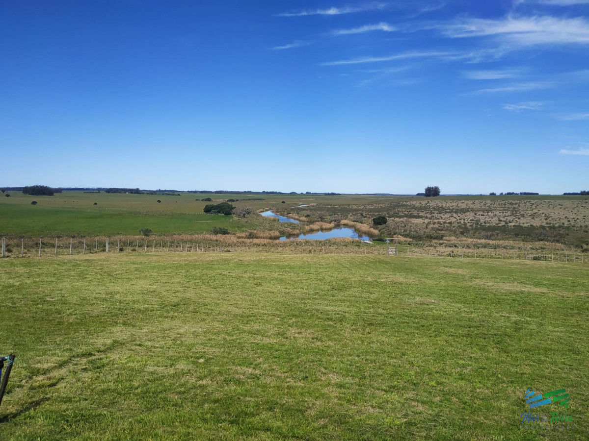 Campo Ref.4237 - Muy linda fracción de 138 Has en Las Garzas