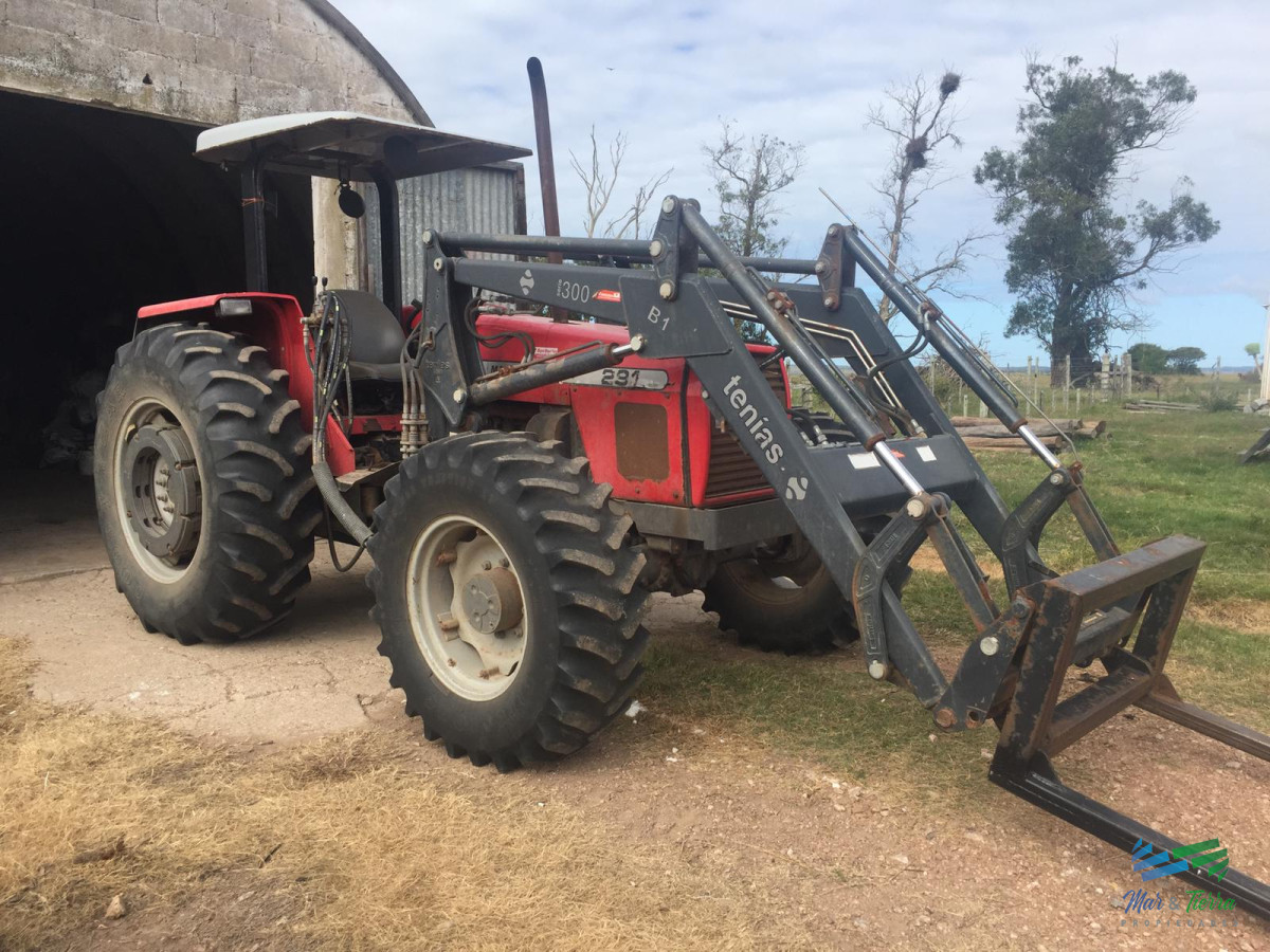 Campo Ref.3697 - 1.137 Has Campaso costa Laguna Negra