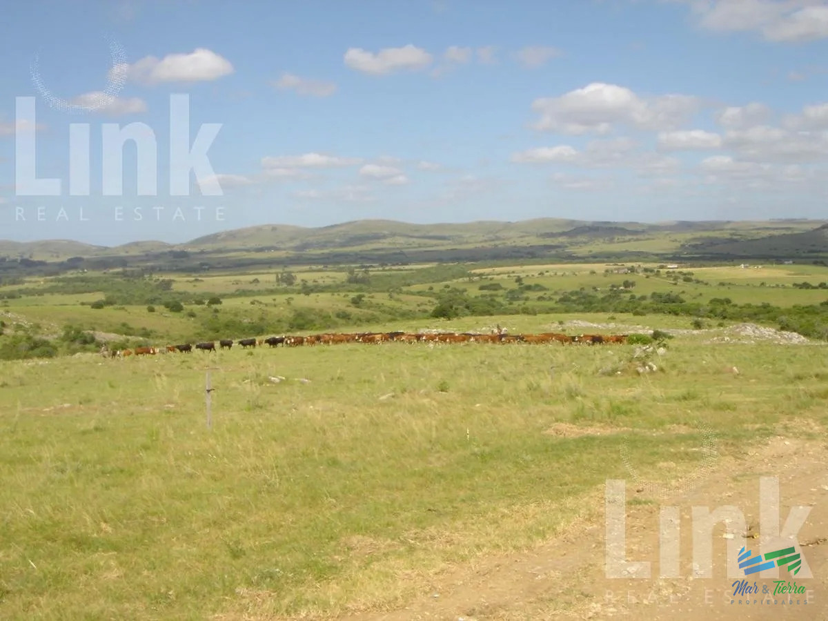 Campo Ref.3694 - Precio Rebajado - Estancia 3.000 Has en 33 Ganadero-Forestal