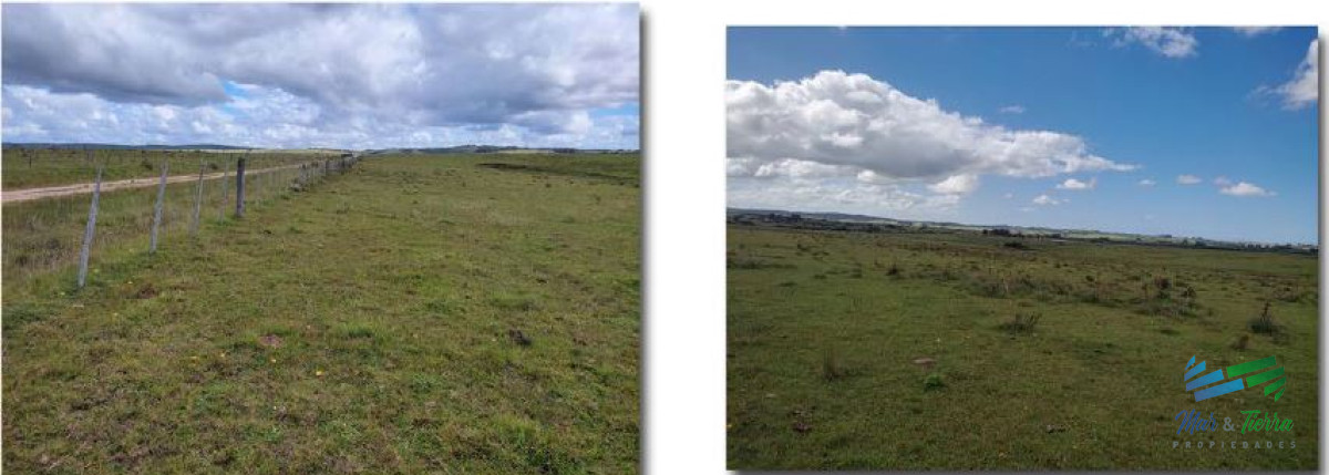 Campo Ref.4484 - 60 Has a tan solo 5 Kms de Garzón