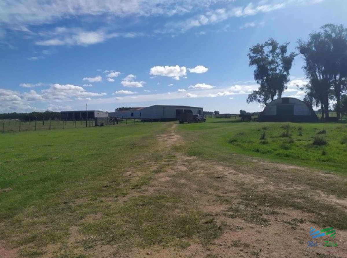 Campo Ref.4401 - Campo Arrocero-Ganadero 1.636 Has sobre Ruta