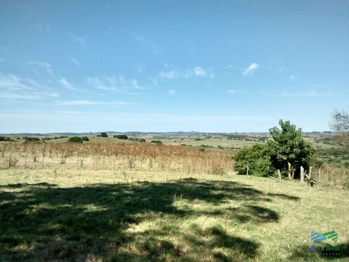 Campo Ref.4409 - Pintoresco campo Ganadero muy bien ubicado.