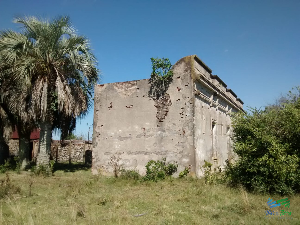 Campo Ref.4113 - 51 Has Campo Secreto