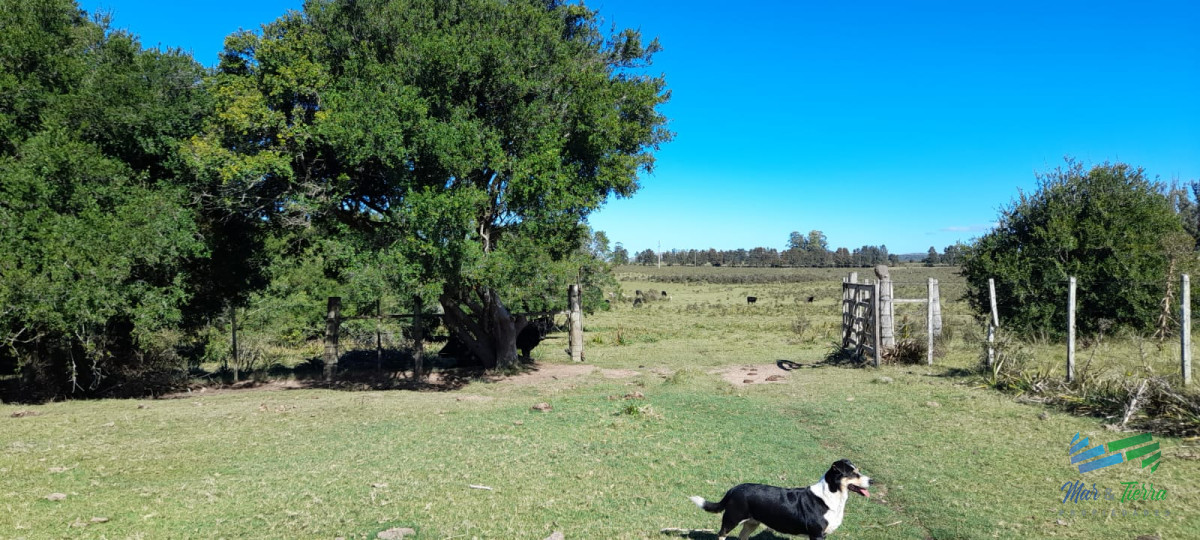 Campo Ref.4381 - Establecimiento Completo a 30 minutos de Punta, no se lo pierda !