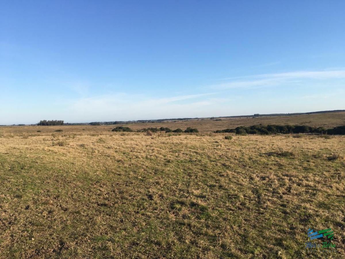 Campo Ref.4058 - 104 Has en Garzon