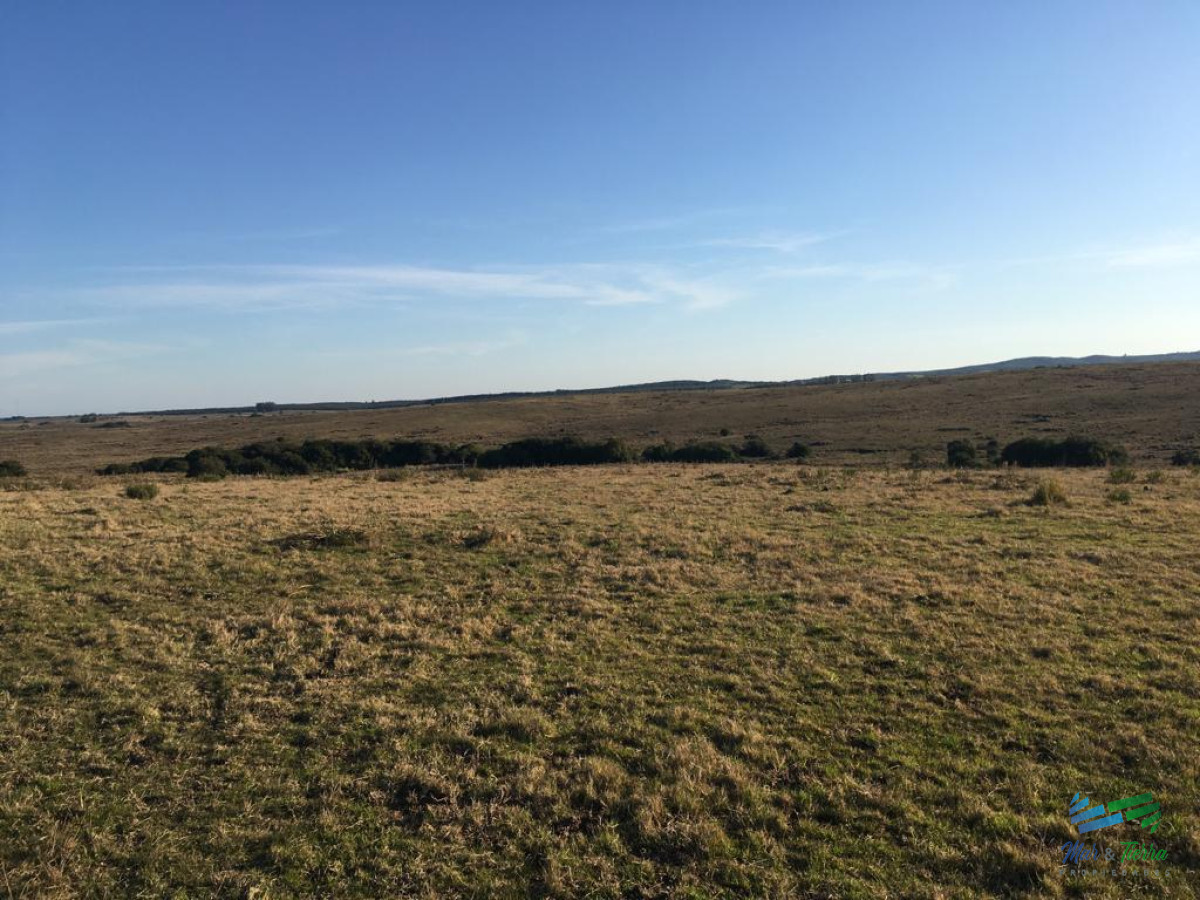 Campo Ref.4058 - 104 Has en Garzon