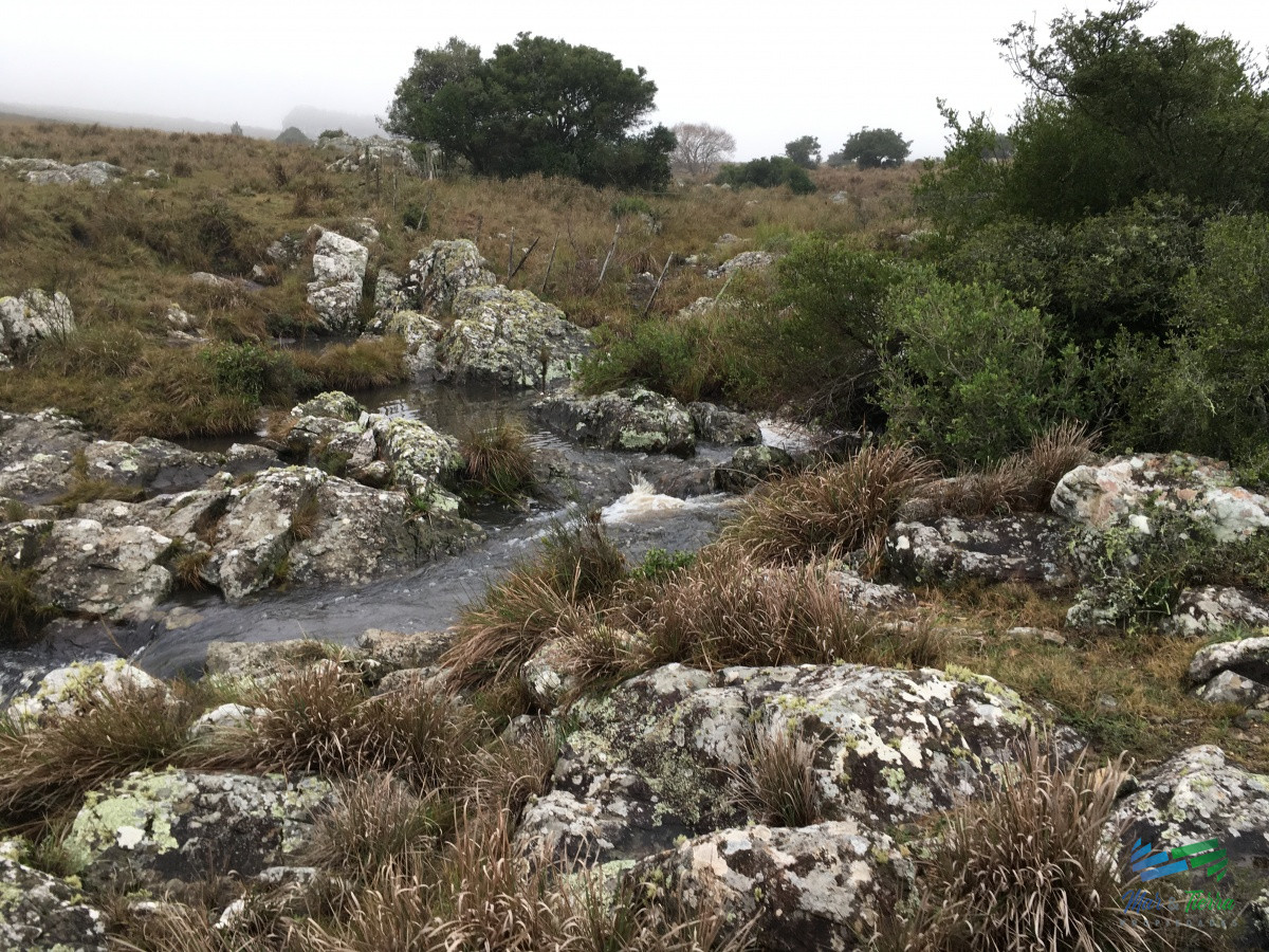 Campo Ref.3862 - 198 Has sobre Ruta 12, Arroyo, Monte Nativo a 15 kms de P. Edén