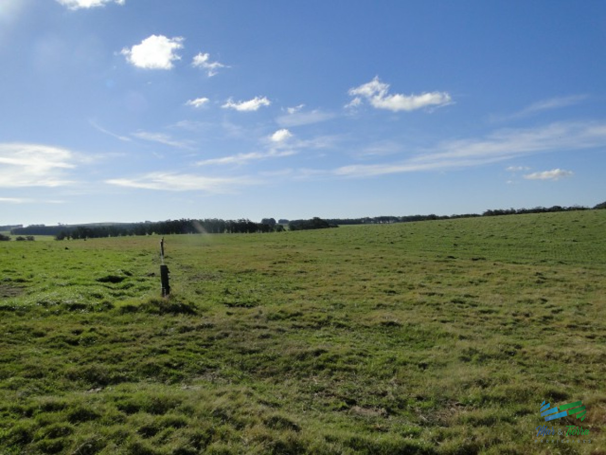 Campo Ref.3697 - 1.137 Has Campaso costa Laguna Negra