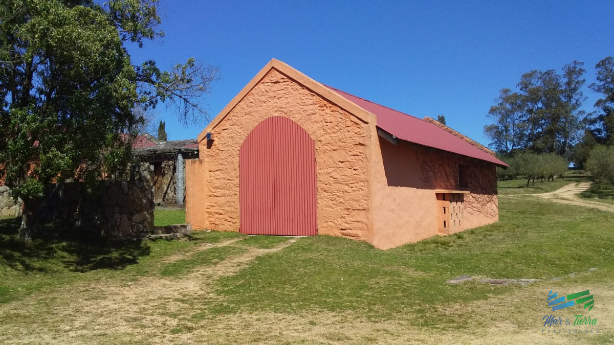 Campo Ref.4426 - Muy lindo campo de Recreo con Olivos a pocos mts de R.39 y 1 hora de Punta